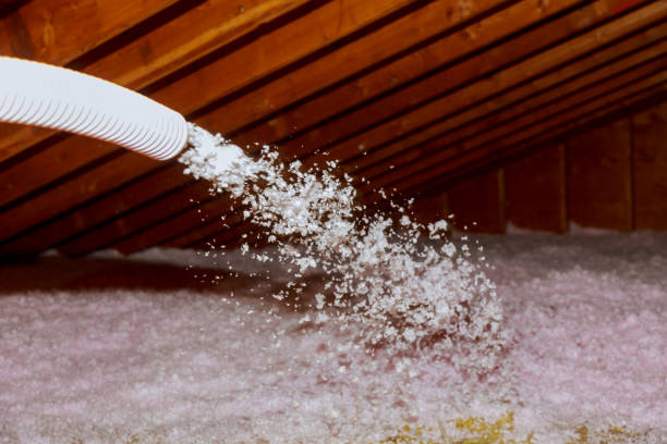 Best Energy Efficiency Solutions in Bourbonnais, IL